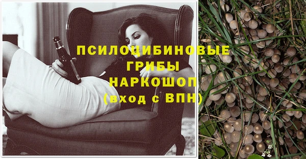 круглые Алзамай
