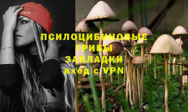 мяу мяу мука Алексин